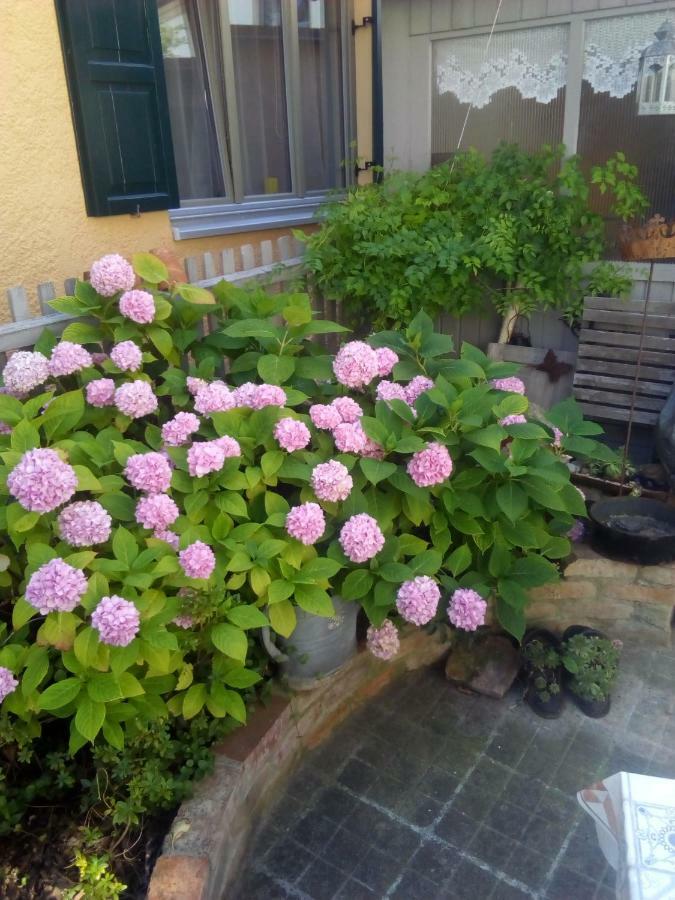 Omas Schmuckkaestle Villa Lauingen Kültér fotó